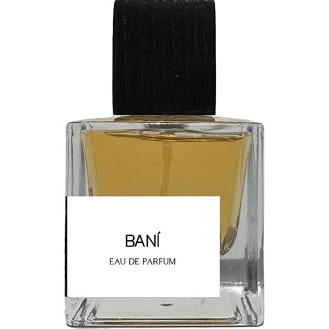 bani by day 3 perfume.